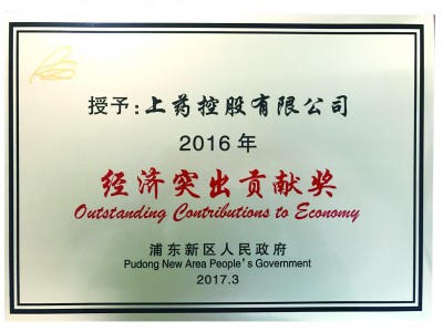 2017年，获评浦东新区经济突出贡献奖